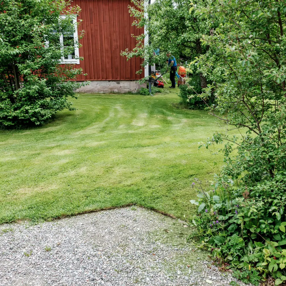 grasklippning hoor